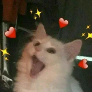 🧡 emoji 呆呆の表情包 Telegram sticker 5 of 120