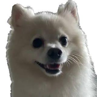 Sticker from Doggos @roasted_duck