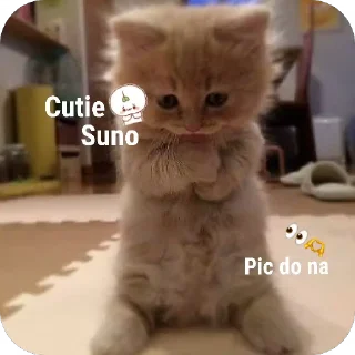 🐱 emoji U you cutie Telegram sticker 17 of 17