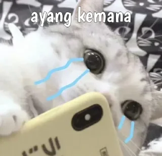 😿 emoji Pack Cat I • @anjaspakeks Telegram sticker 24 of 72