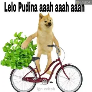 ☘️ emoji doge || @cornfarmerbackup Telegram sticker 16 of 79
