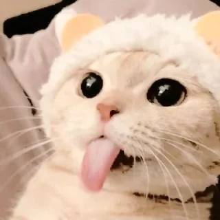😼 emoji 〃kucing﹆ @stikerpacktele Telegram sticker 10 of 57