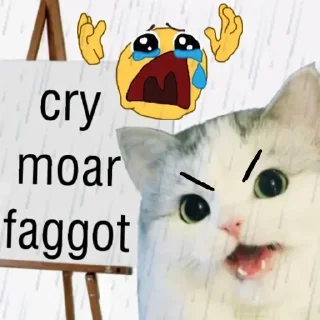 🐱 emoji Schizo arjun's pack Telegram sticker 20 of 120