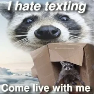 Sticker from possum memes (somehow) ~ @Shlok3838