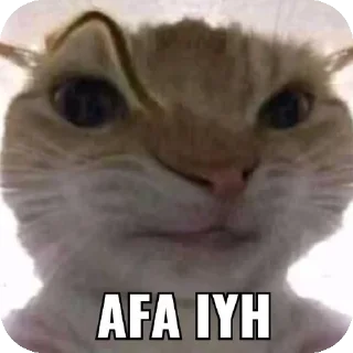 🐱 emoji gini nih Telegram sticker 24 of 36