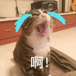 😭 emoji @ayanehearts Personal Use 3 Telegram sticker 16 of 120