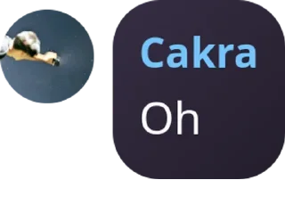 👍 emoji Cakra punya Telegram sticker 7 of 31
