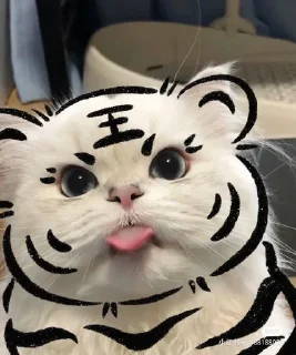 😝 emoji Cute cats Telegram sticker 13 of 27