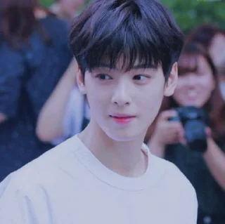 🙃 emoji Eunwoo soft pack Telegram sticker 9 of 27