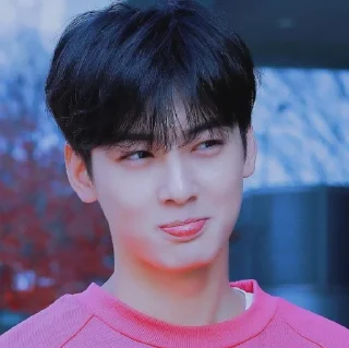 😔 emoji Eunwoo soft pack Telegram sticker 16 of 27