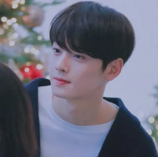 😌 emoji Eunwoo soft pack Telegram sticker 2 of 27