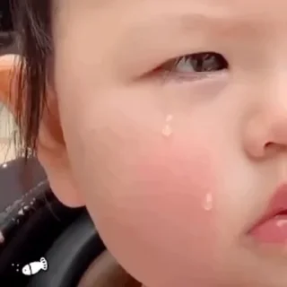 😭 emoji 电话短信轰炸|飞机账号 @xiatianddeye Telegram sticker 12 of 50