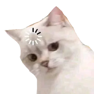 Sticker from cats