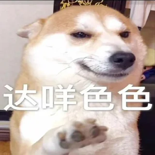 Sticker from 陆知夏