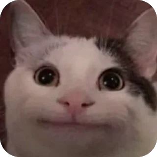 🫥 emoji Smile Telegram sticker 6 of 17