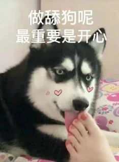 💋 emoji 168系列彩票奇趣分分 @zicisi Telegram sticker 13 of 34
