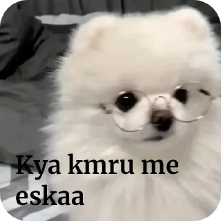 🐶 emoji ಕುಕೀ >>🌻🌃 @cokipfp Telegram sticker 10 of 45