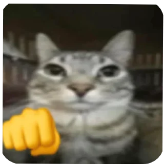 🐱 emoji Punya anon!! Telegram sticker 18 of 103