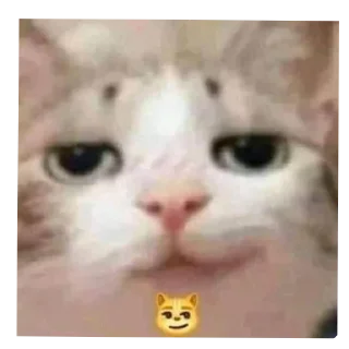 😏 emoji Punya anon!! Telegram sticker 15 of 103