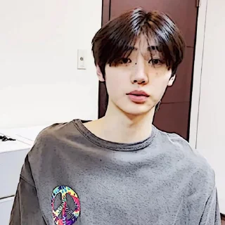 🧩 emoji sunghoon :: @gudangnyastikerrp Telegram sticker 9 of 32