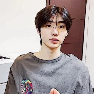 🧩 emoji sunghoon :: @gudangnyastikerrp Telegram sticker 13 of 32
