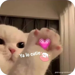 🐱 emoji U you cutie Telegram sticker 9 of 17