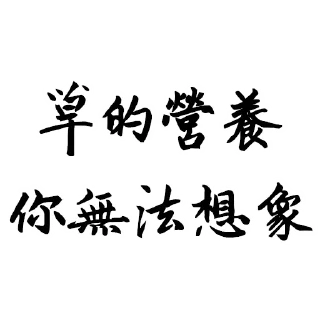 🍀 emoji 聖草教會 兔佛語錄 Telegram sticker 9 of 36