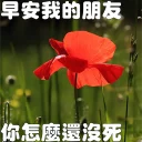 🗯 emoji 早安我的朋友 Telegram sticker 1 of 20