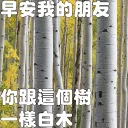 🗯 emoji 早安我的朋友 Telegram sticker 3 of 20