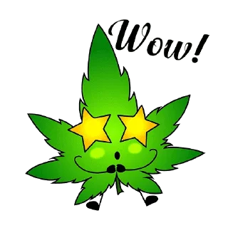 🤩 emoji Mister Weed Telegram sticker 9 of 16
