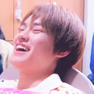 🐬 emoji Soft Chenle by @stickernct Telegram sticker 21 of 43