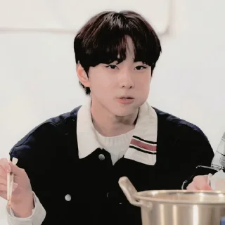🍚 emoji jungwon Telegram sticker 23 of 65