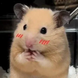 ☺️ emoji yo Telegram sticker 8 of 111