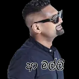 🙂 emoji Sl  NoName Telegram sticker 18 of 65