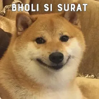 🤔 emoji 『तेरा बाप』LeGiT's Sticker Pack Telegram sticker 24 of 88