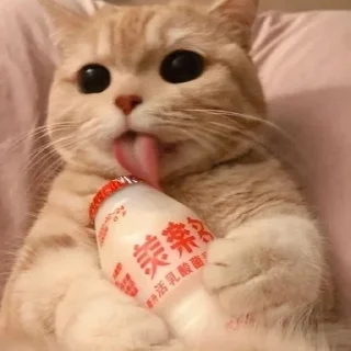 😄 emoji Better Cats @AnimeOcean_Gifs Telegram sticker 8 of 52