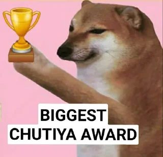 😂 emoji BIGGEST AWARDS BY PANDIT Telegram sticker 4 of 37