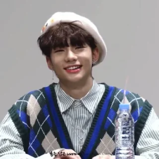 🦙 emoji @inixeyla : hyunjin Telegram sticker 18 of 40