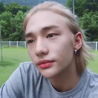 🦙 emoji @inixeyla : hyunjin Telegram sticker 5 of 40
