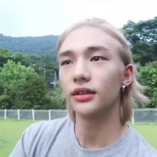 🦙 emoji @inixeyla : hyunjin Telegram sticker 8 of 40