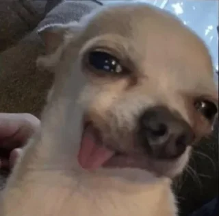 🍀 emoji @xynoubot's waruserbot Vol.1 Telegram sticker 8 of 11