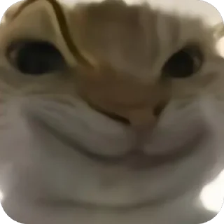 👏 emoji Mồn lèo của Lill =)) Telegram sticker 6 of 10