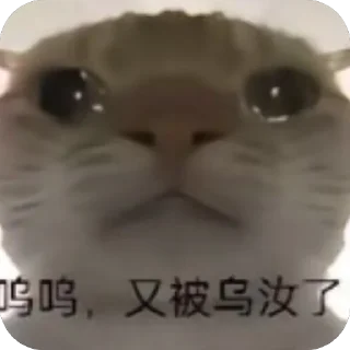 Sticker from Mồn lèo của Lill =))