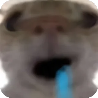 🫥 emoji Mồn lèo của Lill =)) Telegram sticker 10 of 10
