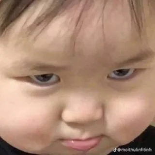 🤨 emoji Nhãn dán của CGCK Telegram sticker 21 of 114