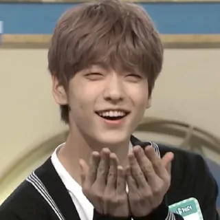 🧩 emoji SOOBIN @SEMPENA Telegram sticker 10 of 85