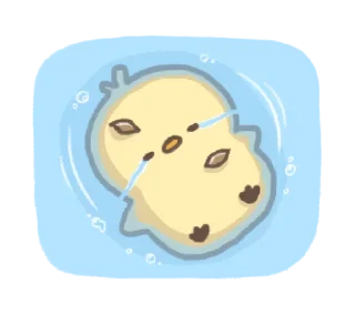 🐤 emoji ✧ @STRAWBERRYHOLIC : Lovely Ppittoo Telegram sticker 8 of 24