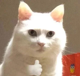 👍 emoji 早睡早起身体好 @GD_LM Telegram sticker 21 of 70