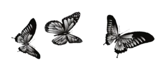 Sticker from Kalopsia. @inmcjhome