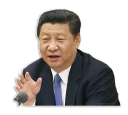 👆 emoji Xi 爸爸 Telegram sticker 1 of 10